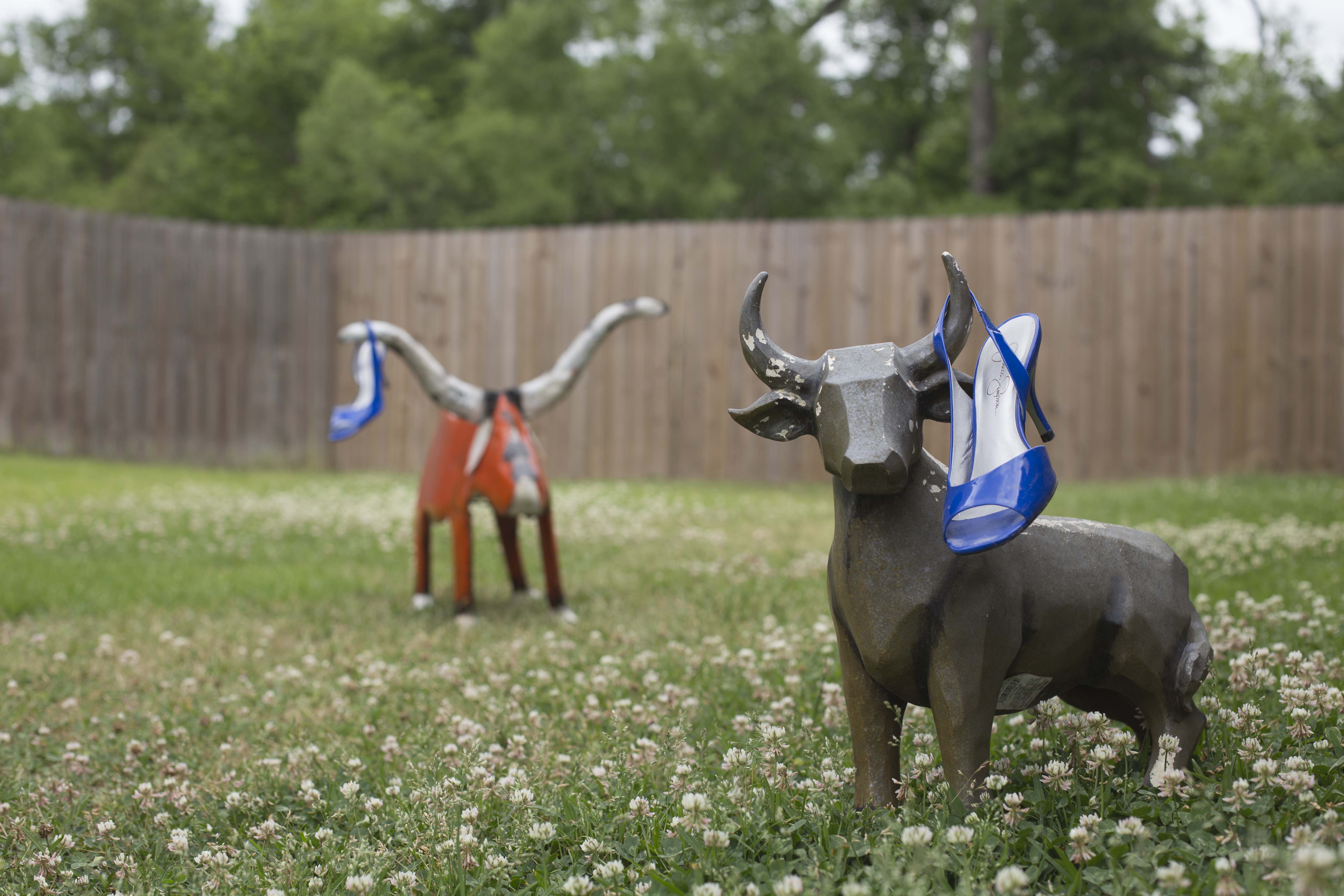 Photography Emulate Project